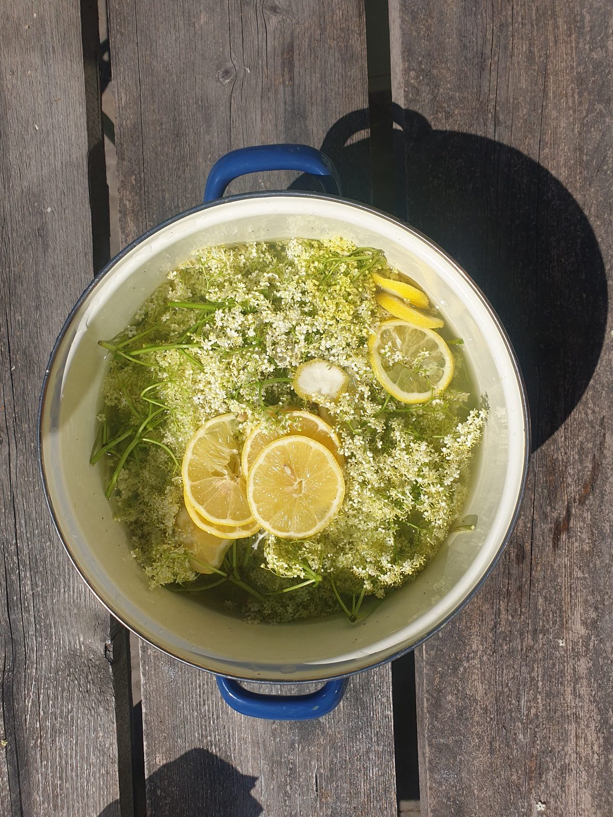 Vlierbloesemsiroop maken.