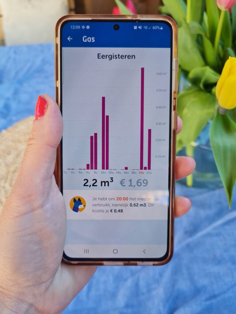 Gasverbruik inzien en verminderen met behulp van EnergyFlip.