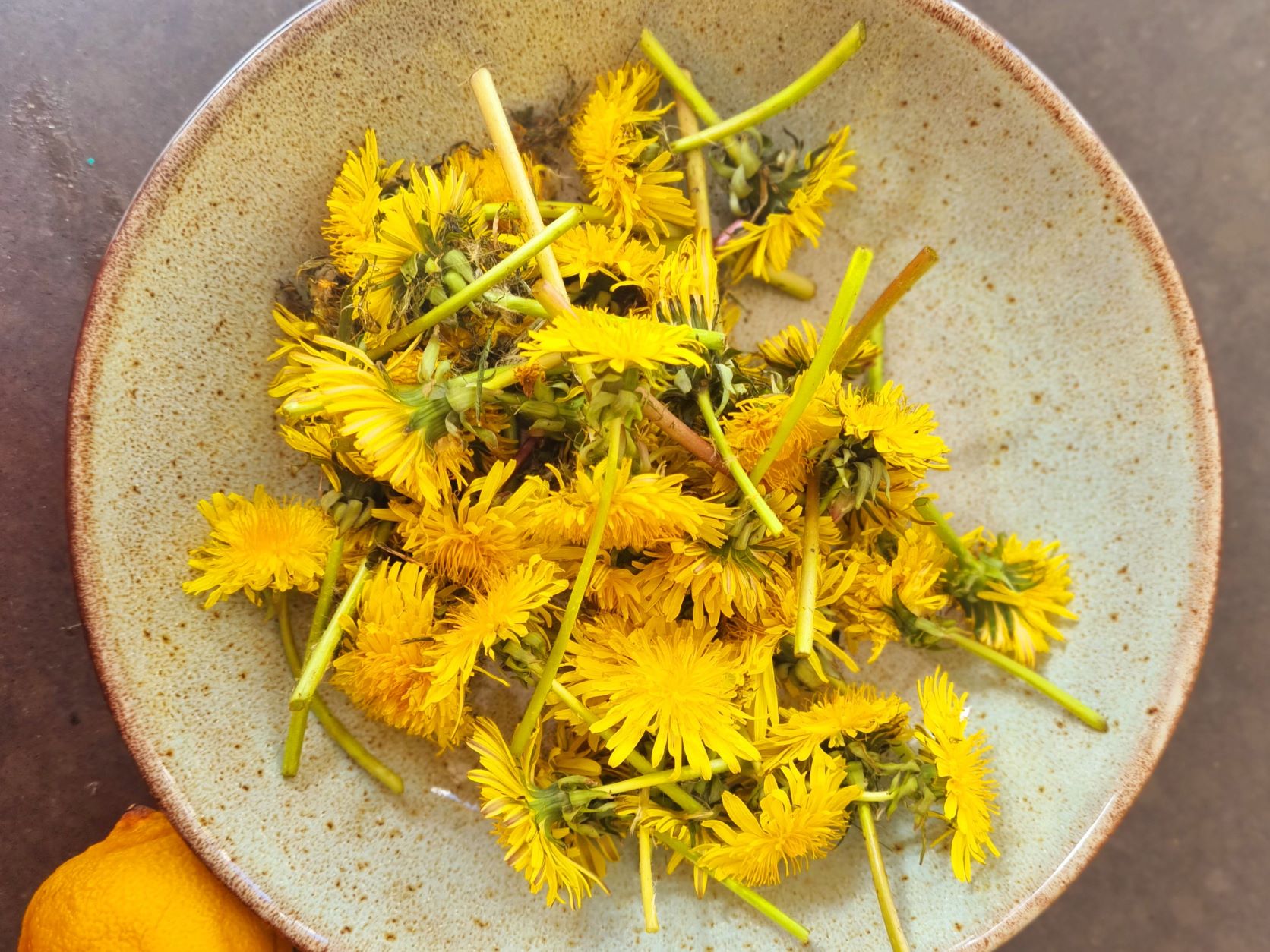 Paardenbloemensiroop maken van paardenbloemen.