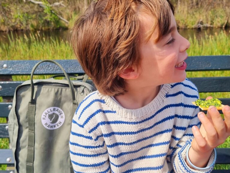 Wildplukwandeling met een proeverij van wildplukpesto.