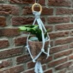 Maak een DIY-plantenhanger van een oud T-shirt.
