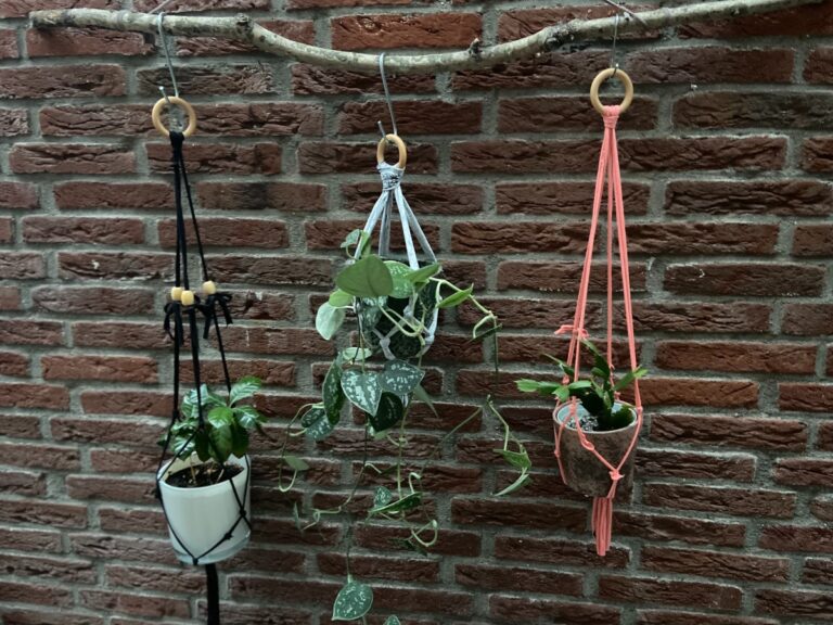 DIY plantenhangers van een oud T-shirt.