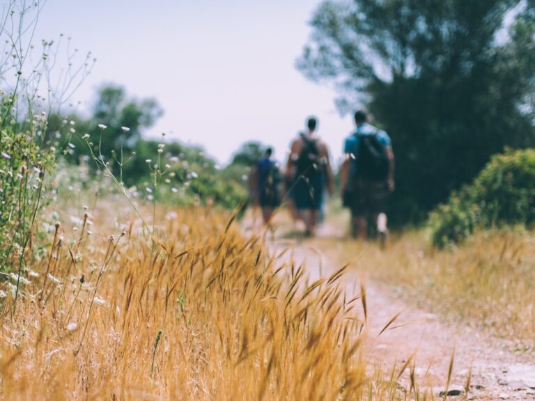 Duurzame wandelvakantie in Nederland.