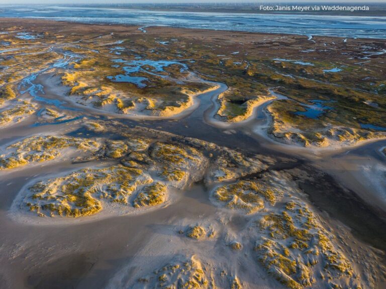 De unieke schoonheid van de Nederlandse Wadden.