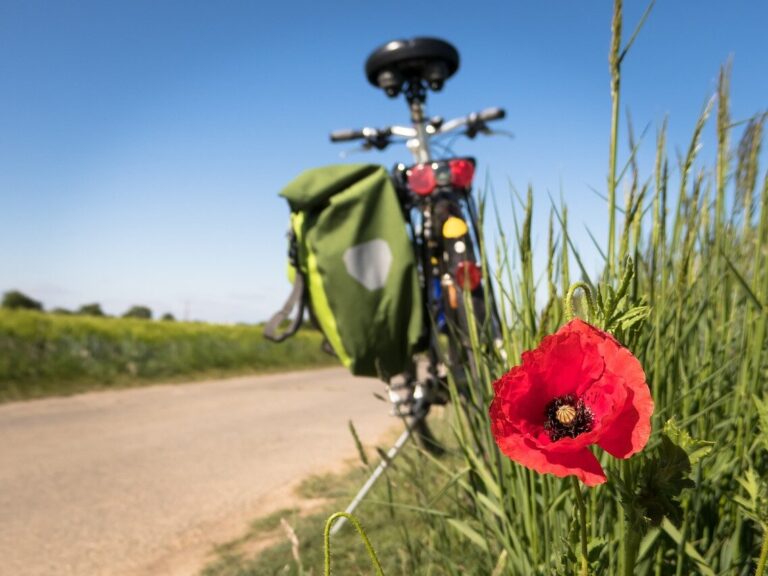 Duurzaam op fietsvakantie in Nederland? Dit moet je weten!