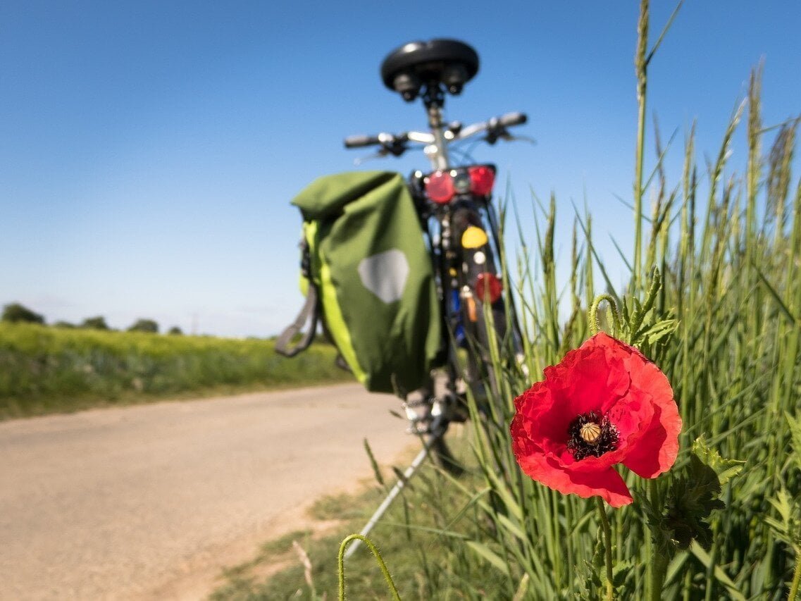 Duurzaam op fietsvakantie in Nederland? Dit moet je weten!
