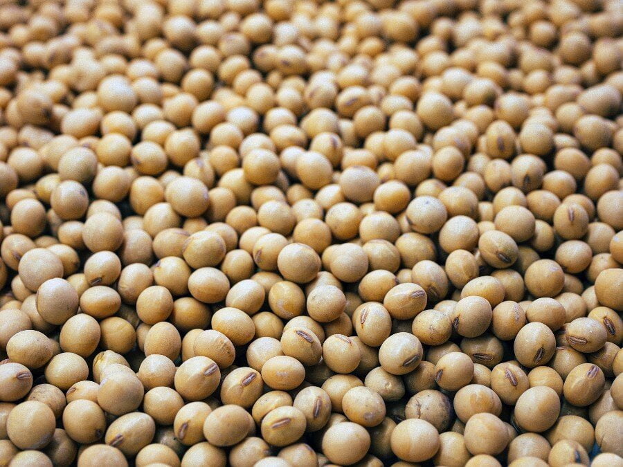 Kaarsen wax rustiek parel, bewegende vlam