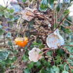Winterse DIY: vetbollen voor vogels maken.