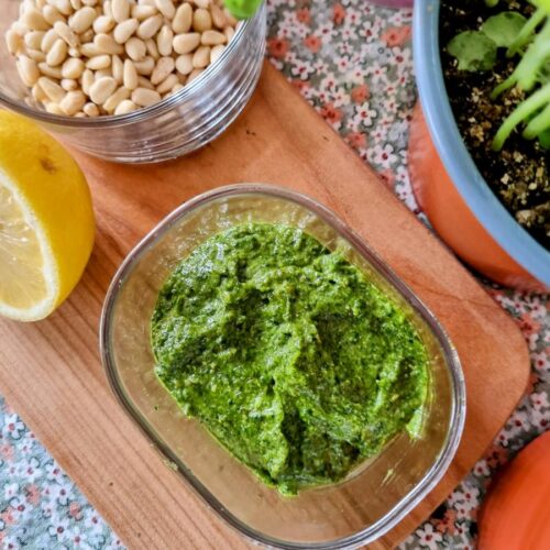 Vegan pesto recept klaargemaakt met verse basilicum, pijnboompitten en citroen.