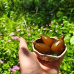 Gekonfijte groene vijgen zijn een lekker recept.