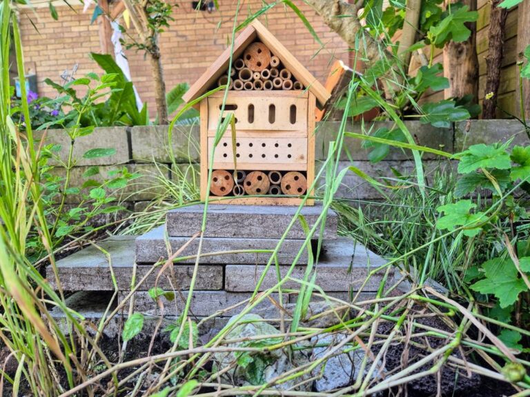 Stapelstenen in tuin waar kleine insecten in kunnen wonen.