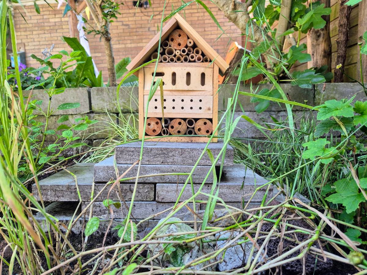 Stapelstenen in tuin waar kleine insecten in kunnen wonen.
