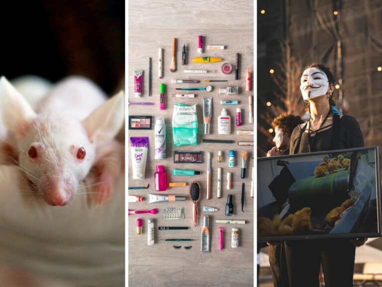 Dierproeven verboden beautyproducten.