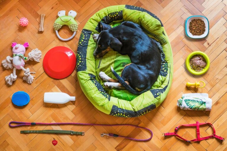 Duurzame hondenaccessoires tips.