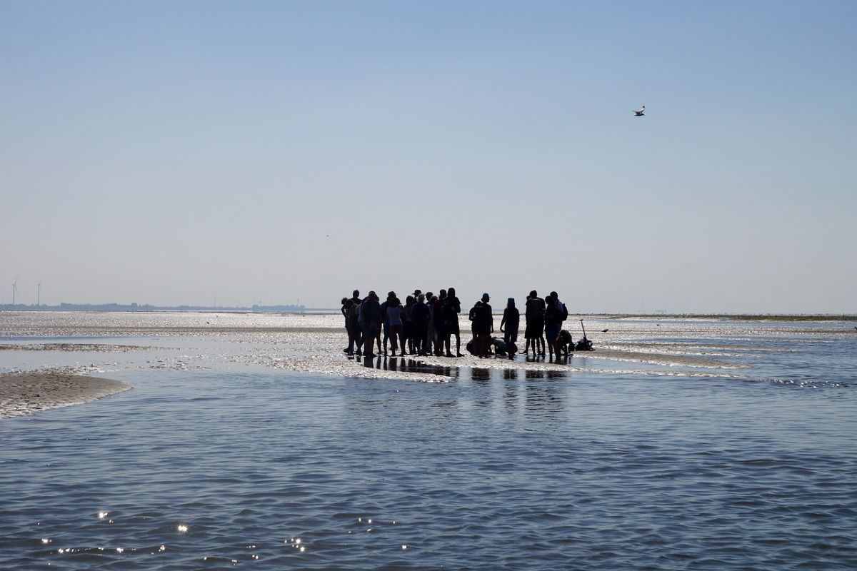 Duurzaam teamuitje Friesland, wadlopen.
