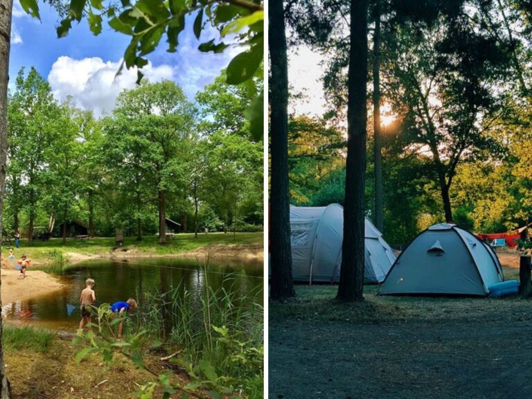 Natuurcamping LoLotte in Gelderland.