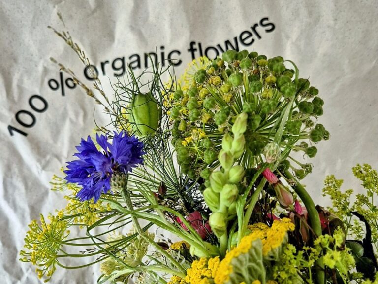 Duurzame bloemen, biologische bloemen van Bloomon.