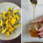 Vegan paardenbloemhoning recept.