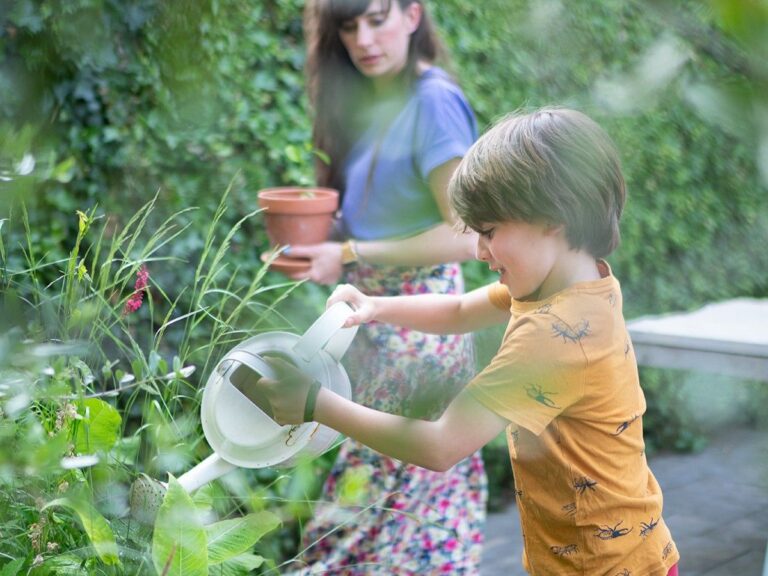 Droogte in de tuin: tips voor uitdroging tuinplanten en droge grond.