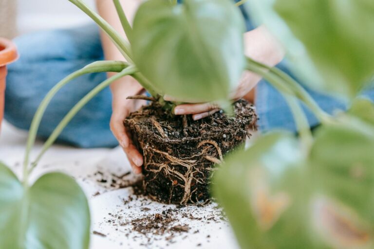 Duurzame potgrond en tuinaarde tips.