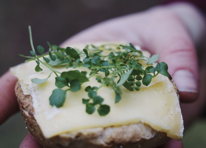 Broodje kleine veldvers.