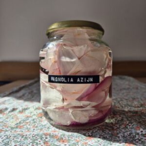 Magnolia azijn maken.