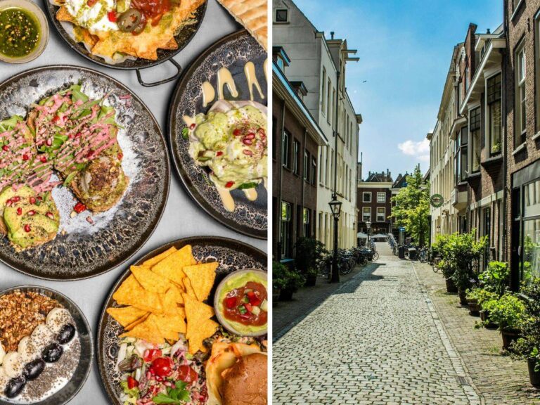 Vegan restaurant tips Leiden.