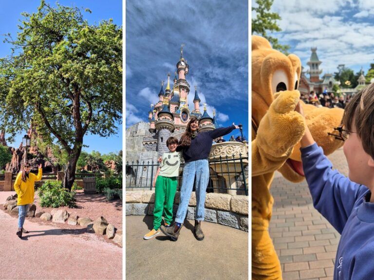 Disneyland Paris verduuraming.