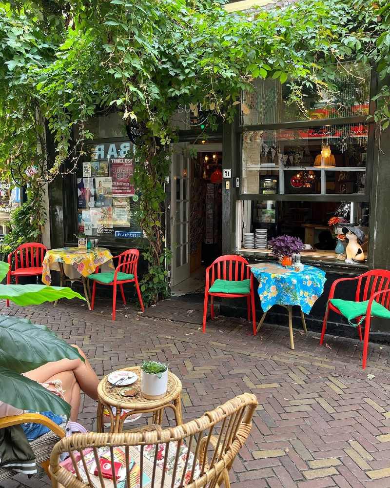 De leukste duurzame restaurants in Alkmaar - www.thegreenlist.nl