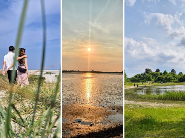 Leuke dingen op Schiermonnikoog: tips!