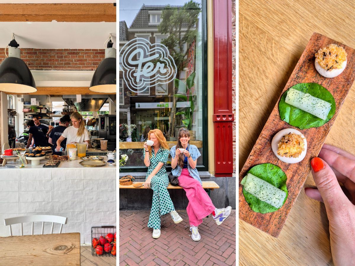 Leuke dingen in Leeuwarden, duurzame tips voor Leeuwarden.