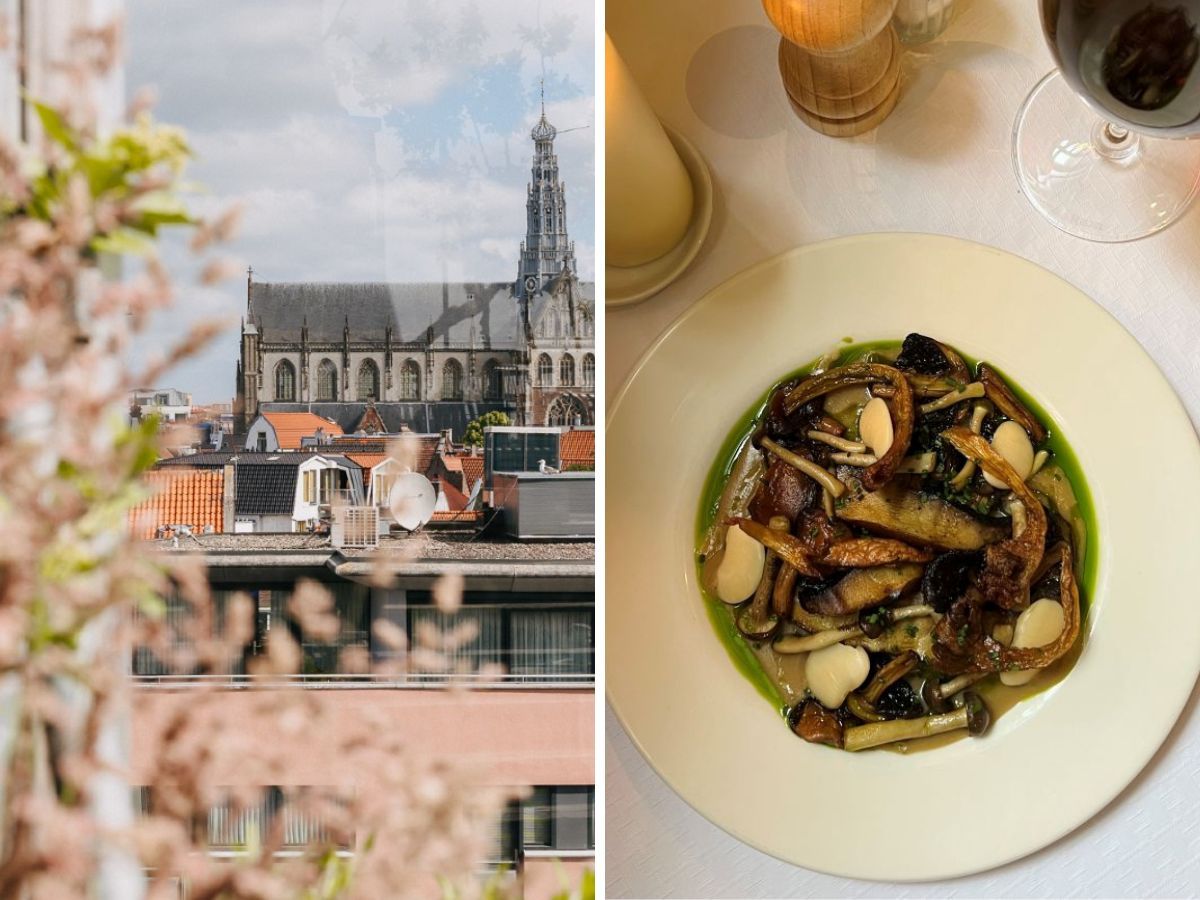 Duurzame restaurants in Haarlem tips.