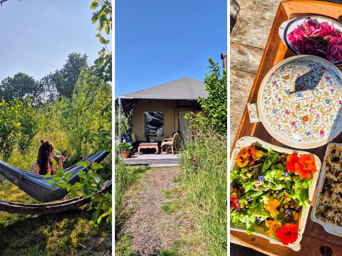 Glamping Groningen Savanneboerderij Verbaarum.