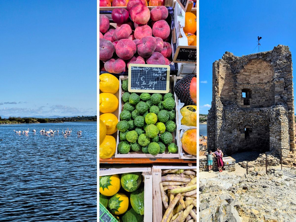 Vakantie in Languedoc: tips.