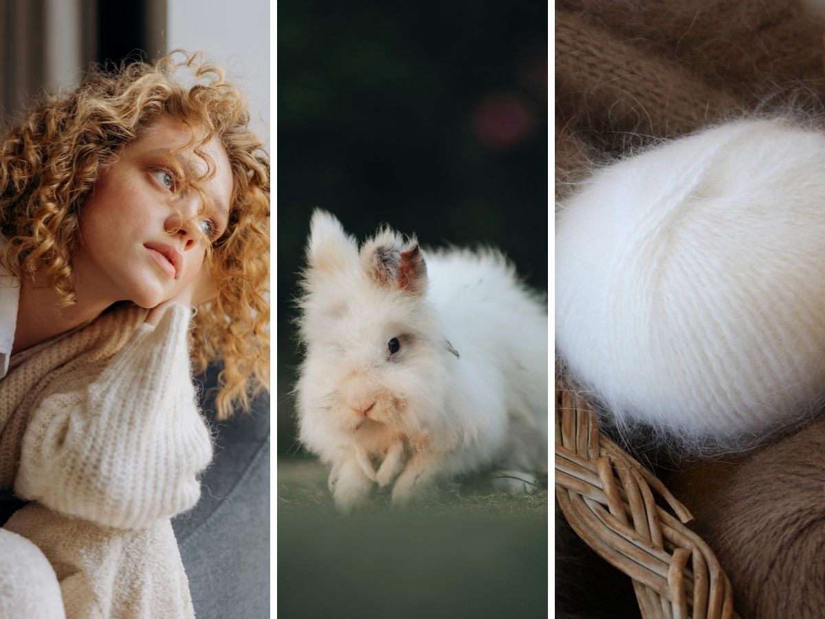 Bestaat er duurzame angorawol zonder dierenleed?