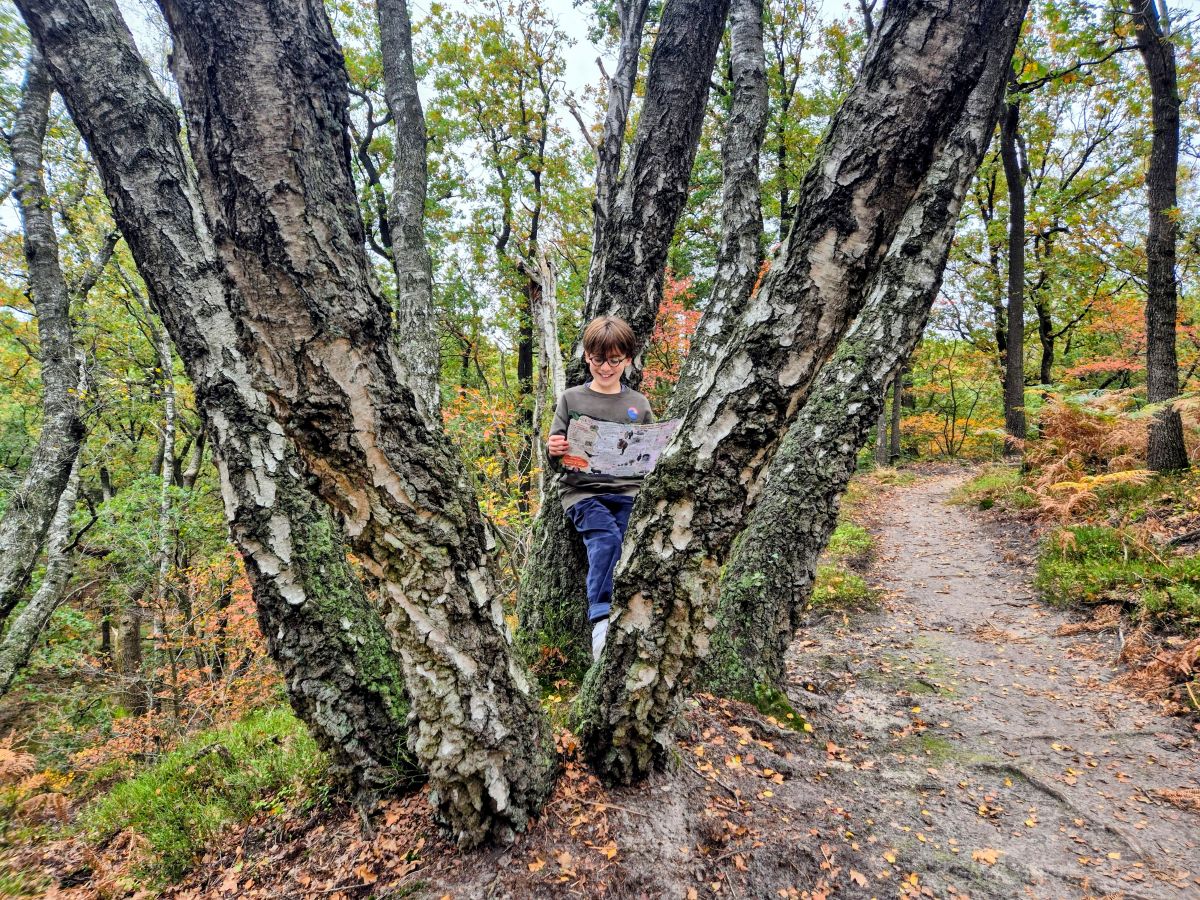The Nature Game, De Hoge Veluwe.