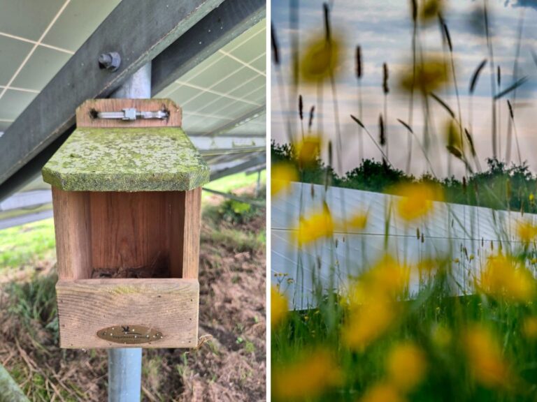 Vrijopnaam, green energy from solar panels from the Netherlands.