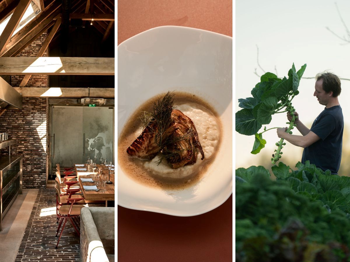 Ervaring Over-Amstel restaurant.