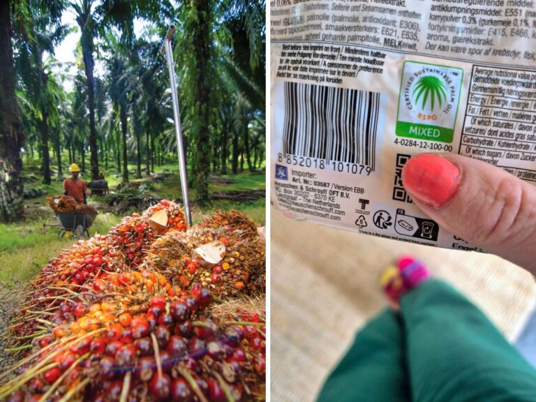 No palm oil boycott.