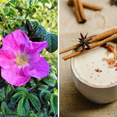 Rozendrankje, wildplukrecept.