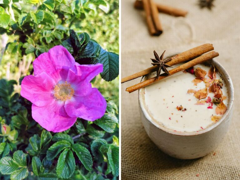 Rozendrankje, wildplukrecept.