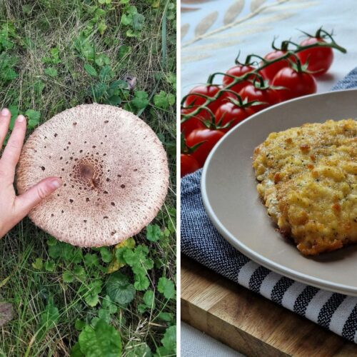 Vegetarische schnitzel van paddenstoel.
