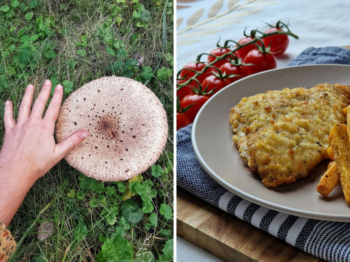 Vegetarische schnitzel van paddenstoel.
