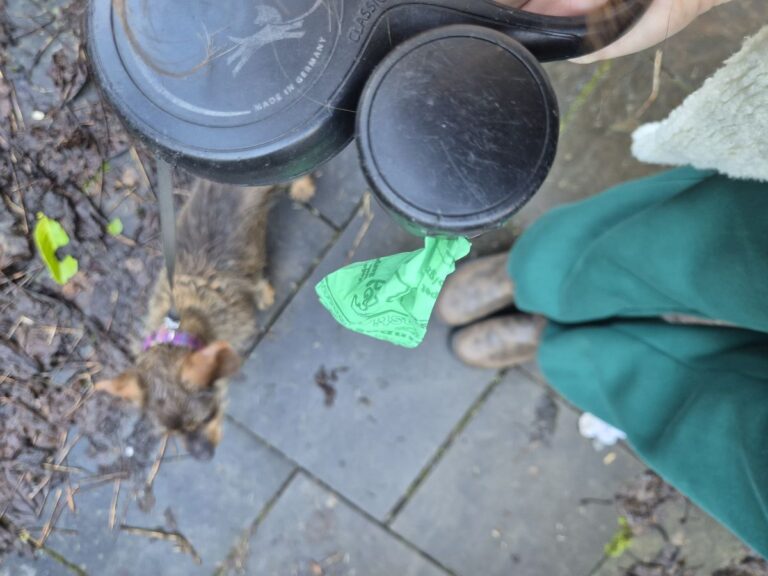 Hondenpoep slecht voor de natuur.