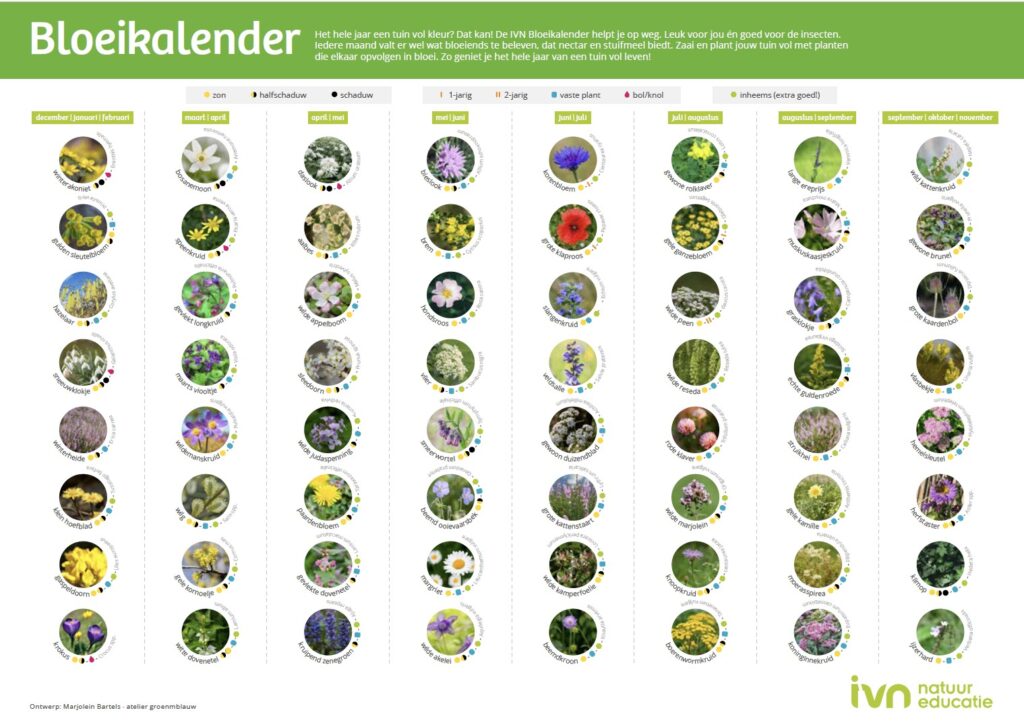 IVN bloeikalender bijenboog.