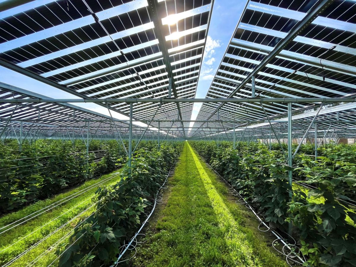 Energie opslaan, groen leven.