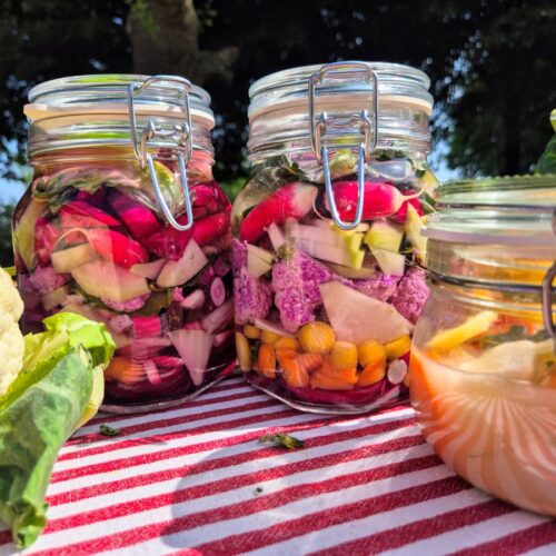 Gefermenteerde groenten recept.