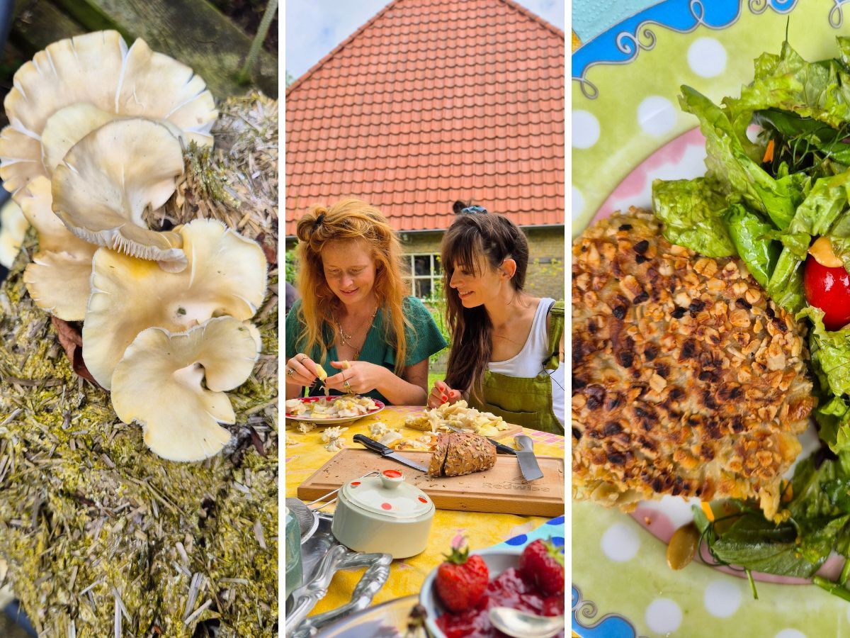 Oesterzwammenburger zelf maken, recept.