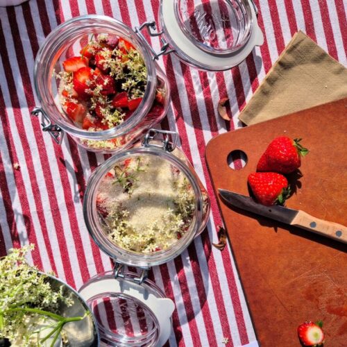 Workshop fruit fermenteren: koso recept.