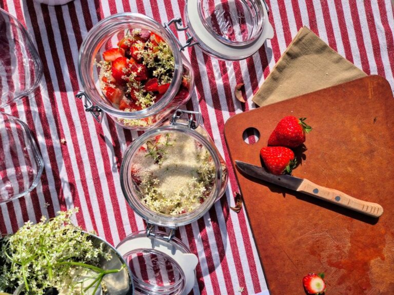 Workshop fruit fermenteren: koso recept.